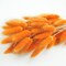 100 Pcs Bunny Tails Dried Flowers, Natural Dried Bunny Tails Grass Dried Lagurus Ovatus Rabbit Tail Grass for Flowers Arrangements DIY Craft Wedding Party Home Table Decor (Orange)